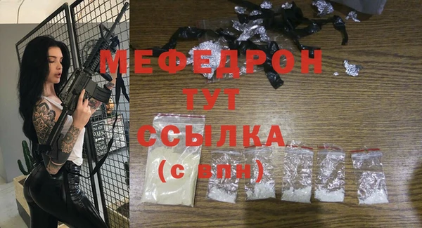 хмурый Аркадак