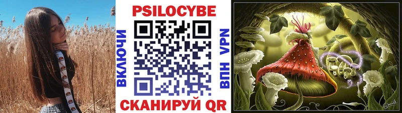 Псилоцибиновые грибы Cubensis Богданович